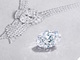 その重さ、80カラット超！　ティファニーが「これまで販売した中で最も大きい」ダイヤモンドのネックレスを制作