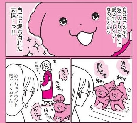 14歳の愛されワンコと飼い主の 相思相愛エピソード満載 うちのトイプーがアイドルすぎる 3 が面白い 1 2 ページ ねとらぼ