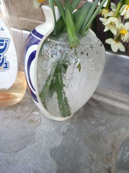 冬 寒さ 花瓶 割れた 水 凍る 膨張