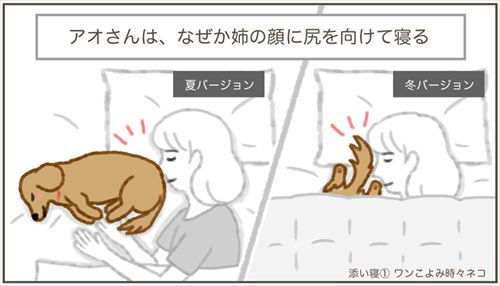 毎朝起きると ワンコのモフモフお尻が目の前に 愛犬との思い出を描いた漫画に心あたたまる ねとらぼ