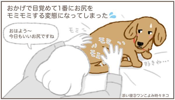 毎朝起きると ワンコのモフモフお尻が目の前に 愛犬との思い出を描いた漫画に心あたたまる ねとらぼ