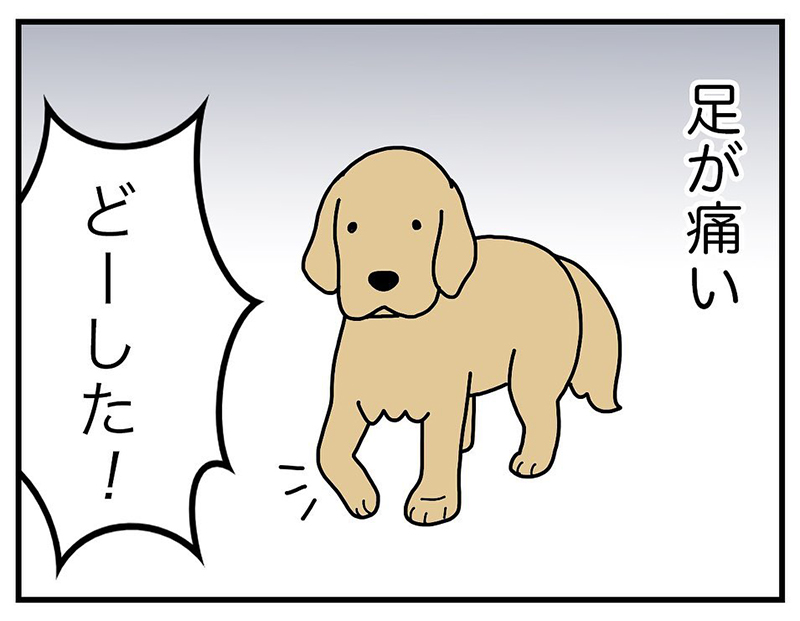 だからお願い ずっと元気でいてね 愛犬への想いを描いた飼い主の漫画に共感の嵐 1 2 ページ ねとらぼ