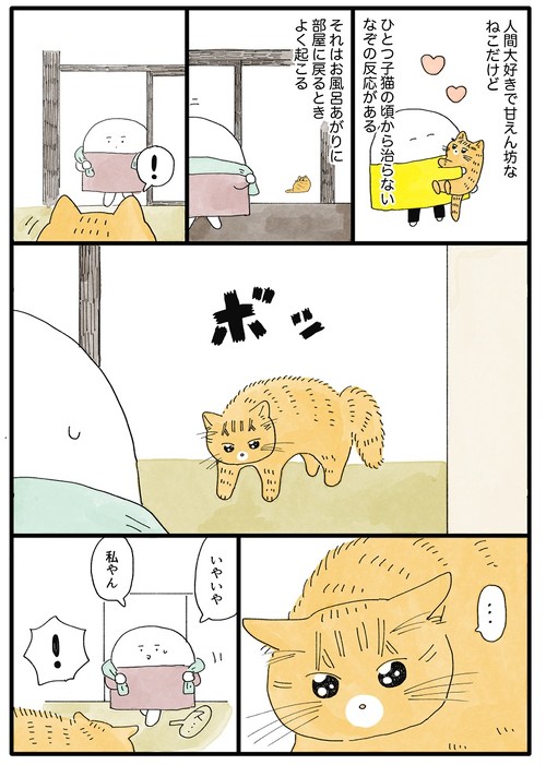 猫 ボッ 風呂上がりの飼い主を見た猫の なぞのくせ を描いた漫画が切ないけどかわいい 1 2 ページ ねとらぼ