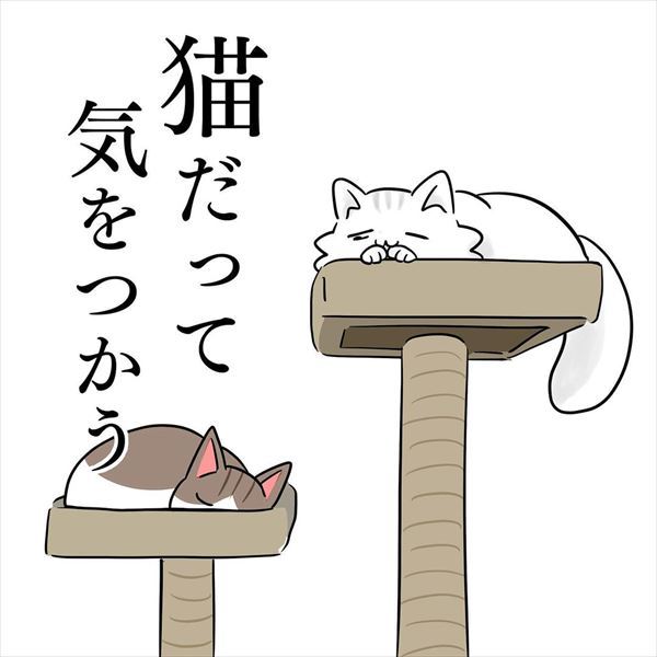 猫だって気をつかう トイレに行きたい猫と甘えん坊な同居猫のやりとりを描いた漫画にほっこり 1 2 ページ ねとらぼ