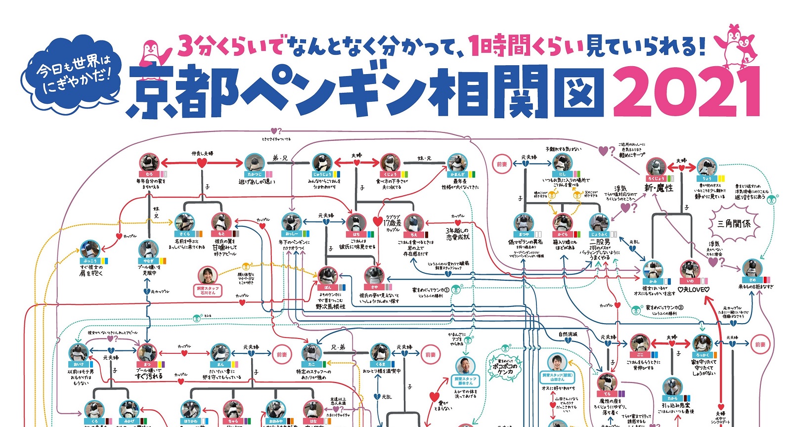 昼ドラ並みのドロドロ感 京都 すみだ水族館のペンギン相関図がますます複雑に 1 2 ページ ねとらぼ