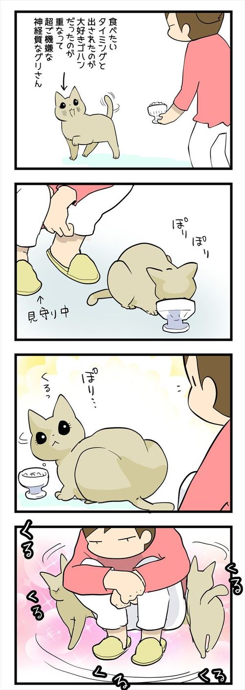 かまってちゃんな猫が覚えた イケナイ 方法とは 心を鬼にして我慢する飼い主の漫画があるあるで面白い 2 2 ページ ねとらぼ