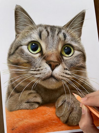 色鉛筆で描いた猫ちゃん