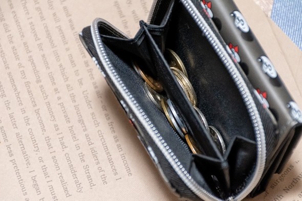 実物レビュー Mini3月号のふろくは ミッキーマウス オトナの優秀ミニ財布 小さめバッグに収まるキュートで実用的な財布です ねとらぼ