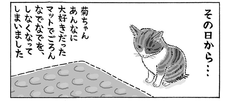 キッチンマットを新しいものに変えたら 猫ちゃんの思いがけぬ反応を描いた漫画に共感の声が続々 1 2 ページ ねとらぼ