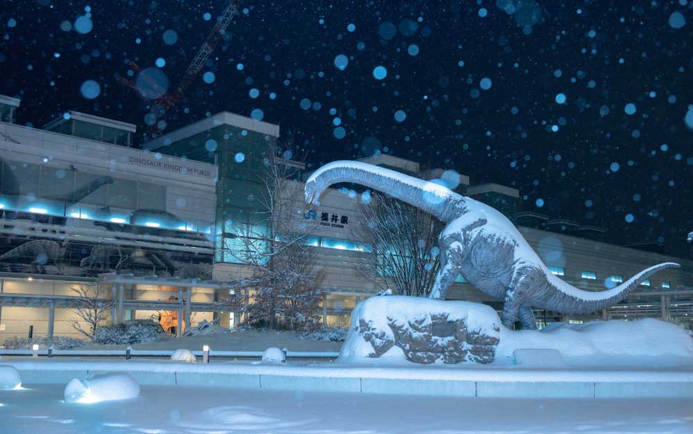 福井県で撮影された 完全に氷河期 な写真が幻想的 恐竜絶滅の瞬間を捉えたような光景がまるで別世界 1 2 ページ ねとらぼ