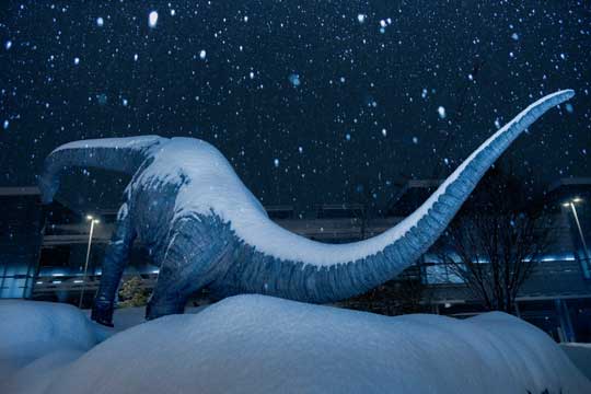福井県で撮影された 完全に氷河期 な写真が幻想的 恐竜絶滅の瞬間を捉えたような光景がまるで別世界 1 2 ページ ねとらぼ
