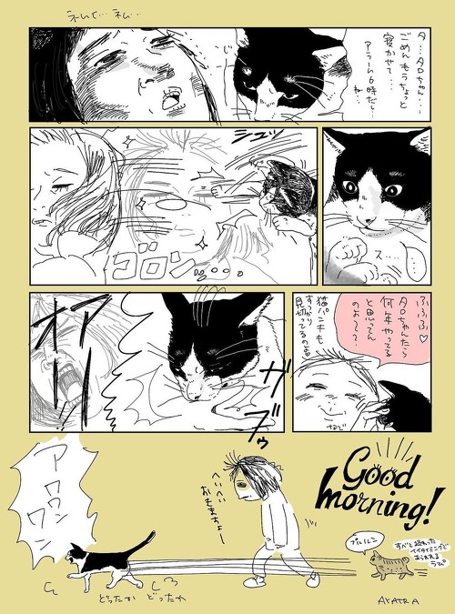 猫 起きろニャ 猫パンチ 早朝に起こされる飼い主さんの5年間の忍耐を描いた漫画に共感続々 1 2 ページ ねとらぼ