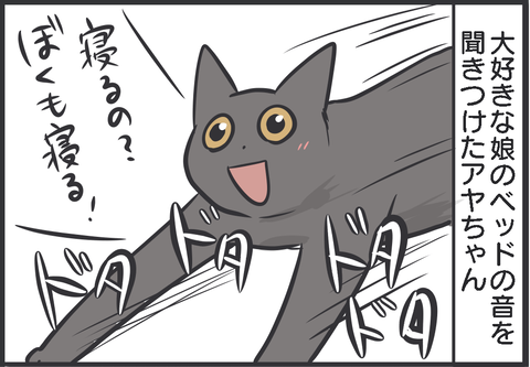 猫と寝るのは難しい 期待したのに猫に去られてしまった飼い主さんを描いた漫画に応援続々 ねとらぼ