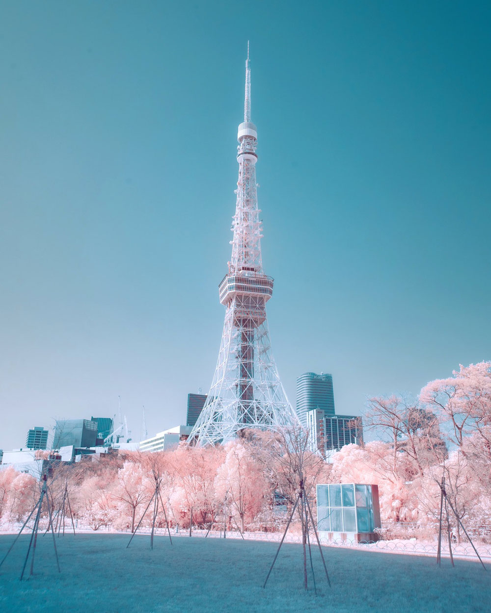 赤外線写真の東京タワーがまるで異世界 桜色に染まった世界が幻想的で心が弾む 1 2 ページ ねとらぼ