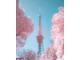 赤外線写真の東京タワーがまるで異世界　桜色に染まった世界が幻想的で心が弾む