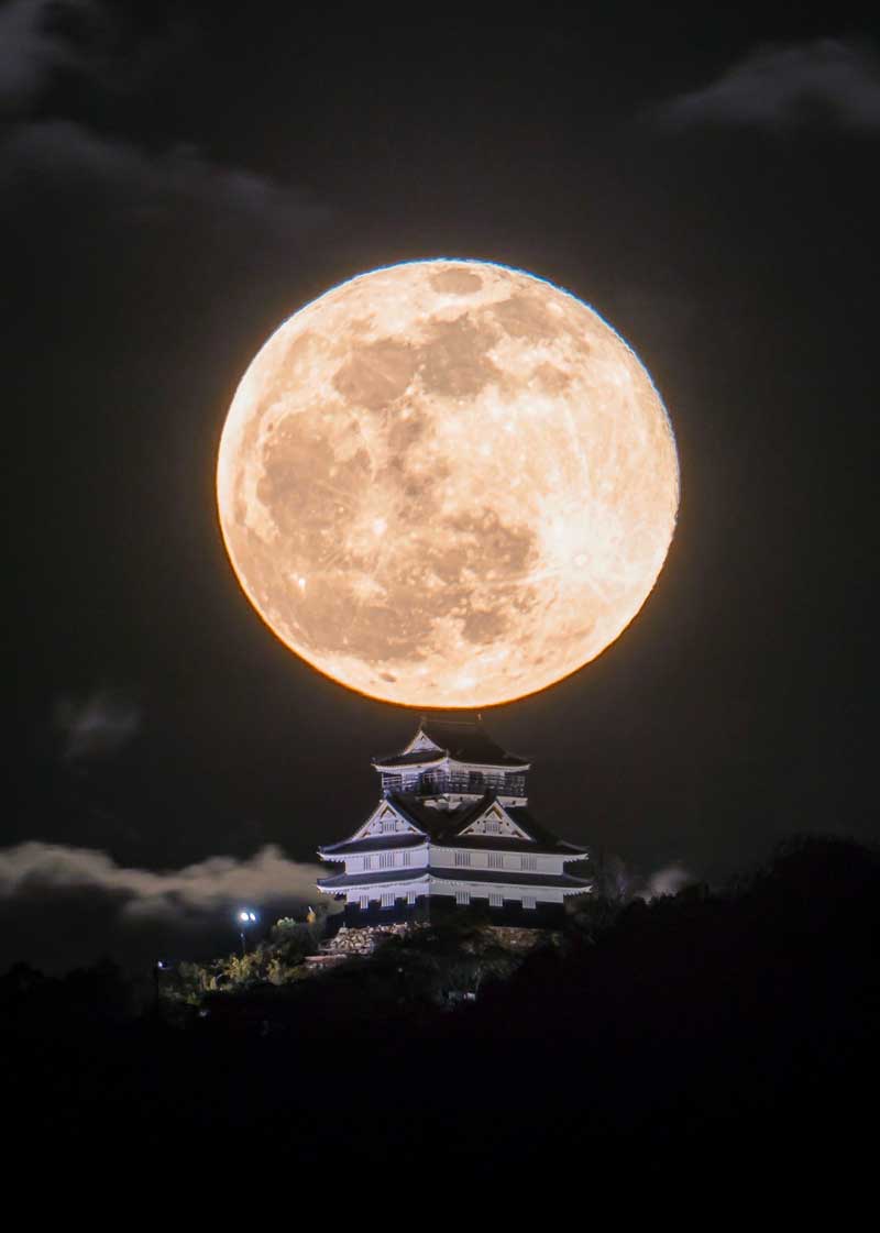 日本の美 存在感がすごい 城好きの写真家が撮った城好きのための城の写真がステキ 1 2 ページ ねとらぼ