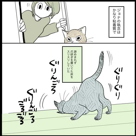 猫 日常 漫画 長谷川ろく ジョナ またたび 愛 狂気 執念