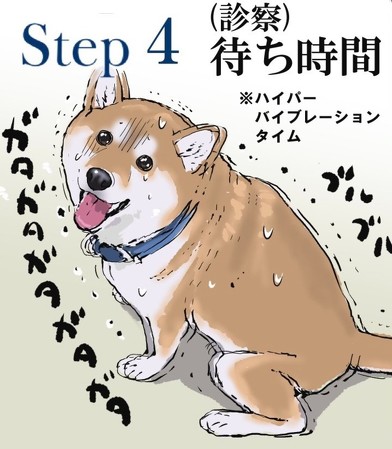 柴犬「話がちがいますご主人！ ガタガタブルブル」 “予防接種の流れ”を