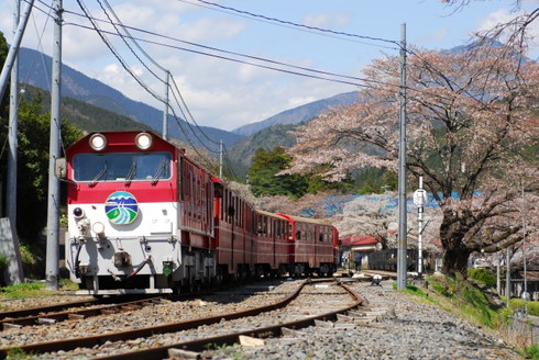 日本旅行 大井川鐵道ツアー