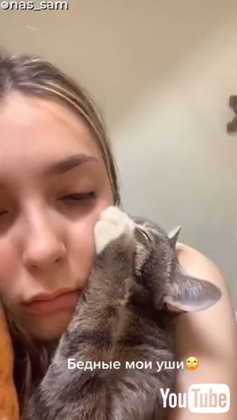 猫 お耳 借してニャ 飼い主さんの耳たぶが大好きな猫ちゃんがかわいい 1 2 ページ ねとらぼ