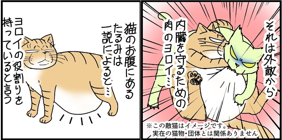 猫 ぜい肉じゃないにゃ お腹のたるみは身を守るヨロイだった かもしれない猫漫画が面白い 1 2 ページ ねとらぼ