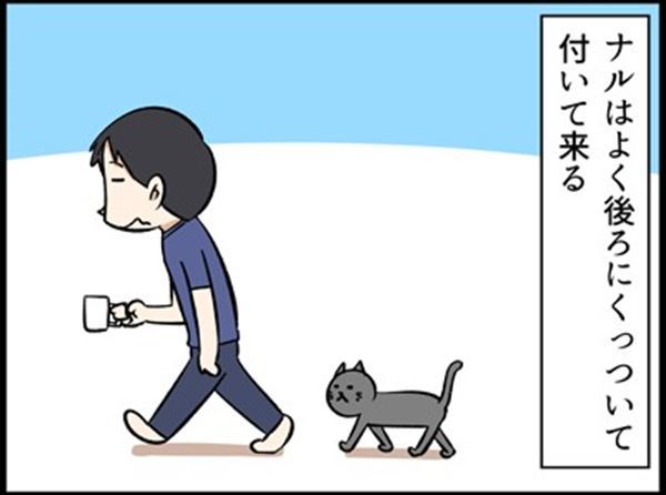 うちの猫はまるでピクミン 飼い主について歩く寂しがり屋の猫を描いた漫画にほっこり 1 2 ページ ねとらぼ