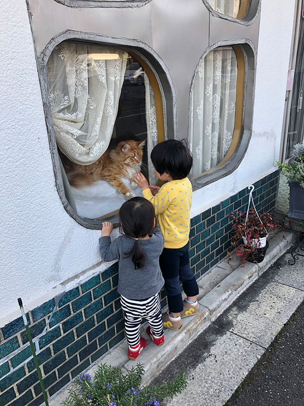 近所の美容室に高貴な猫が二匹いる 貫禄たっぷりの猫をのぞく子どもたちの姿がまるで ジブリの世界 ねとらぼ