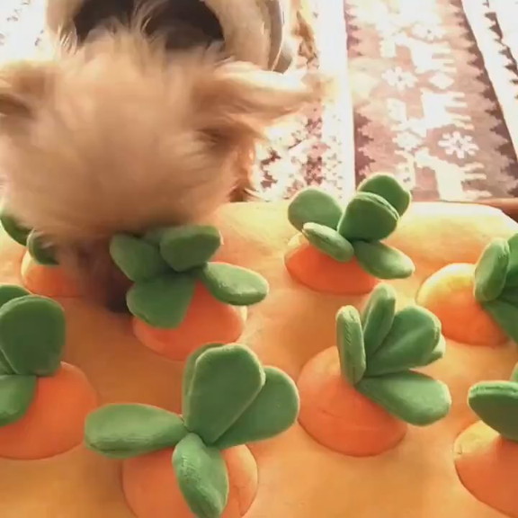 ワンコ ひゃっほおおおおい にんじん畑のおもちゃを張り切って収穫するワンコがかわいい ねとらぼ