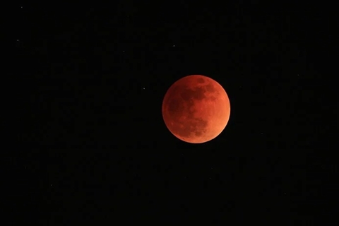 4月27日の満月は ピンクムーン 来月は スーパームーン で皆既月食 ねとらぼ