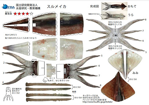 水産庁の研究機関が無料公開のペーパークラフトが 最高すぎる と話題 種類豊富で無限に遊べそう ねとらぼ