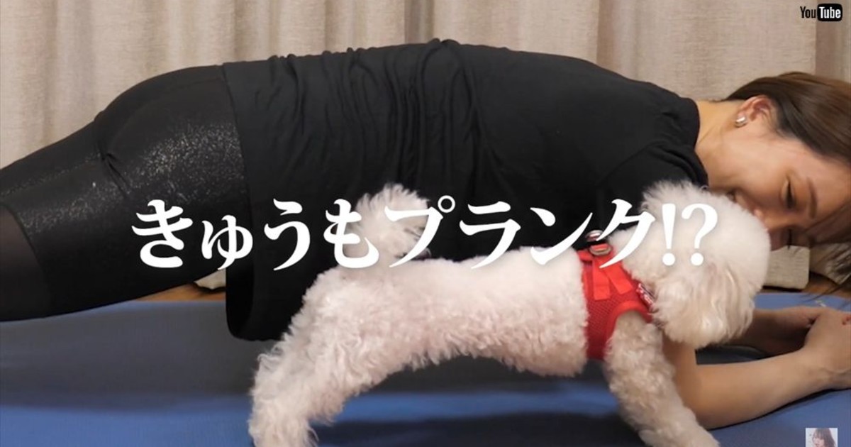 ゆうこす 愛犬との筋トレ動画に14万いいね 伸びと見せかけてプランクする姿に めっちゃほっこり 1 2 ページ ねとらぼ