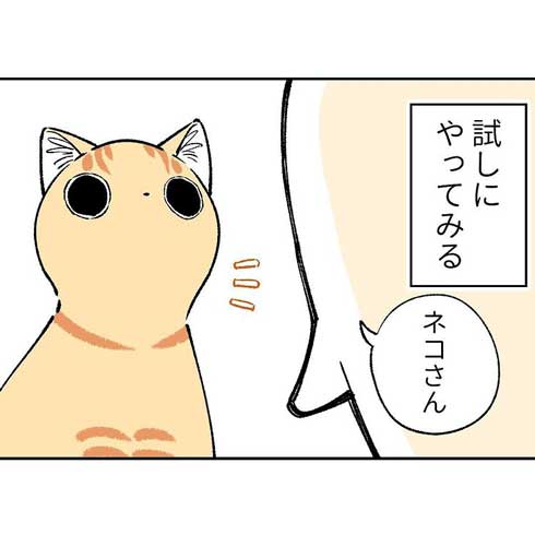 猫に 親愛のあいさつ を試す飼い主 しかし 猫ちゃんらしい反応に切なくなる漫画がくすっと笑える ねとらぼ