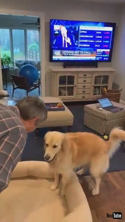 uSweet Pup Lends a Helping Paw || ViralHogv
