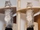 キャットタワーに猫ちゃんが……！　全力でぶら下がる姿と表情に「最高なやつ」「伸びてますね」の声