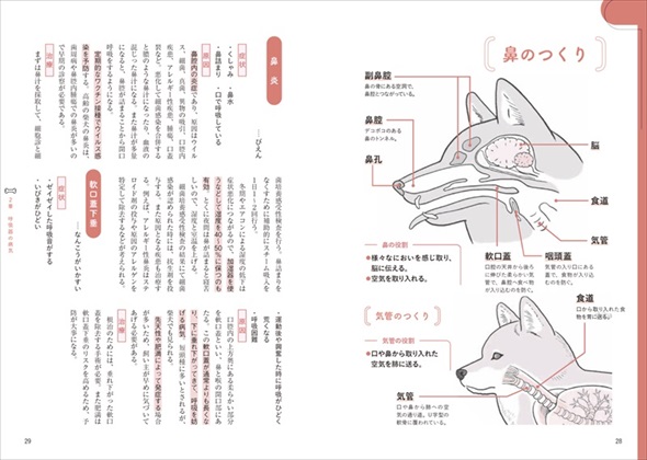 柴犬 コーギーがなりやすい病気をイラストで解説 専門誌が編集した 柴犬版 コーギー版 の医学書が役に立ちそう ねとらぼ