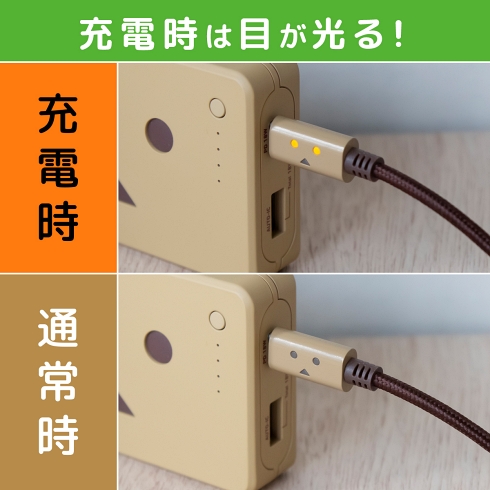 USB-C ライトニングケーブル ダンボー
