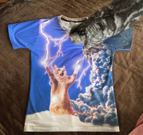 猫 モチコちゃん いなずま Tシャツ