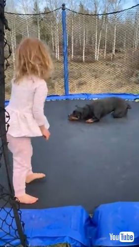 Enjoy Trampoline Time