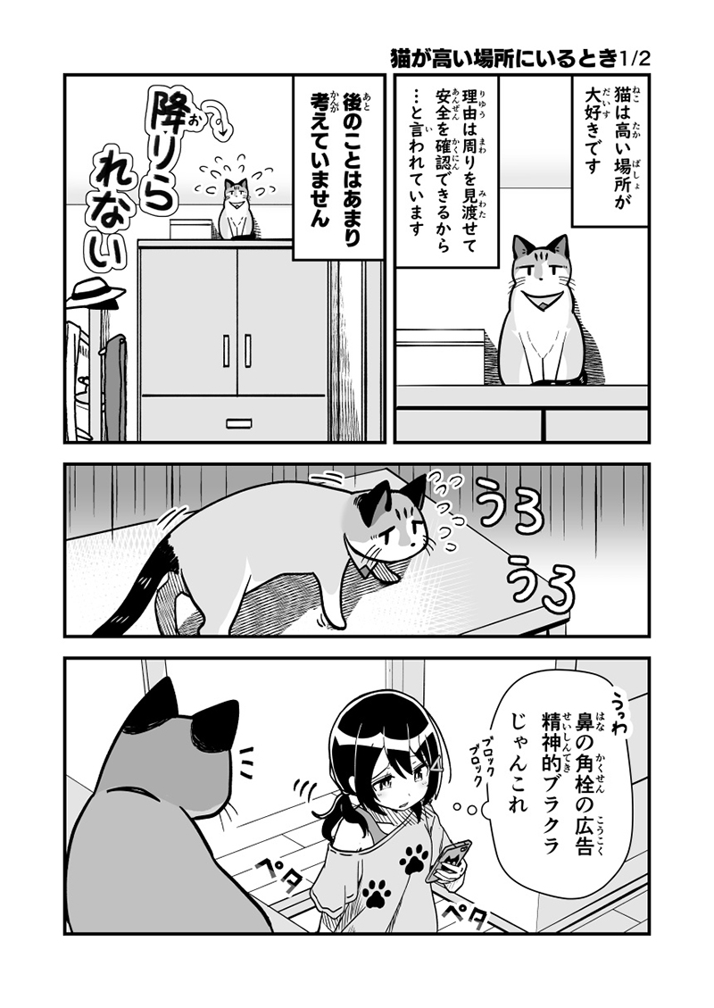 タンスの上から猫が降ってきて 猫の 足場 にされて悶える飼い主の漫画に あるある さすが猫様 の声 ねとらぼ