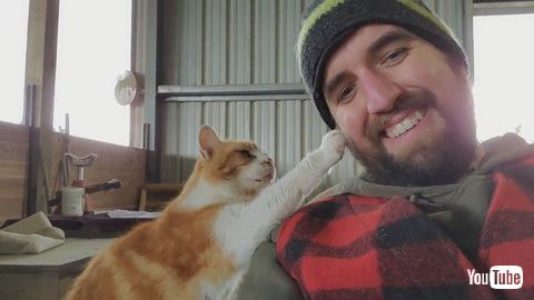 「Barn Cat Pats Man's Face Asking Him to Pet Them Some More - 1198559」