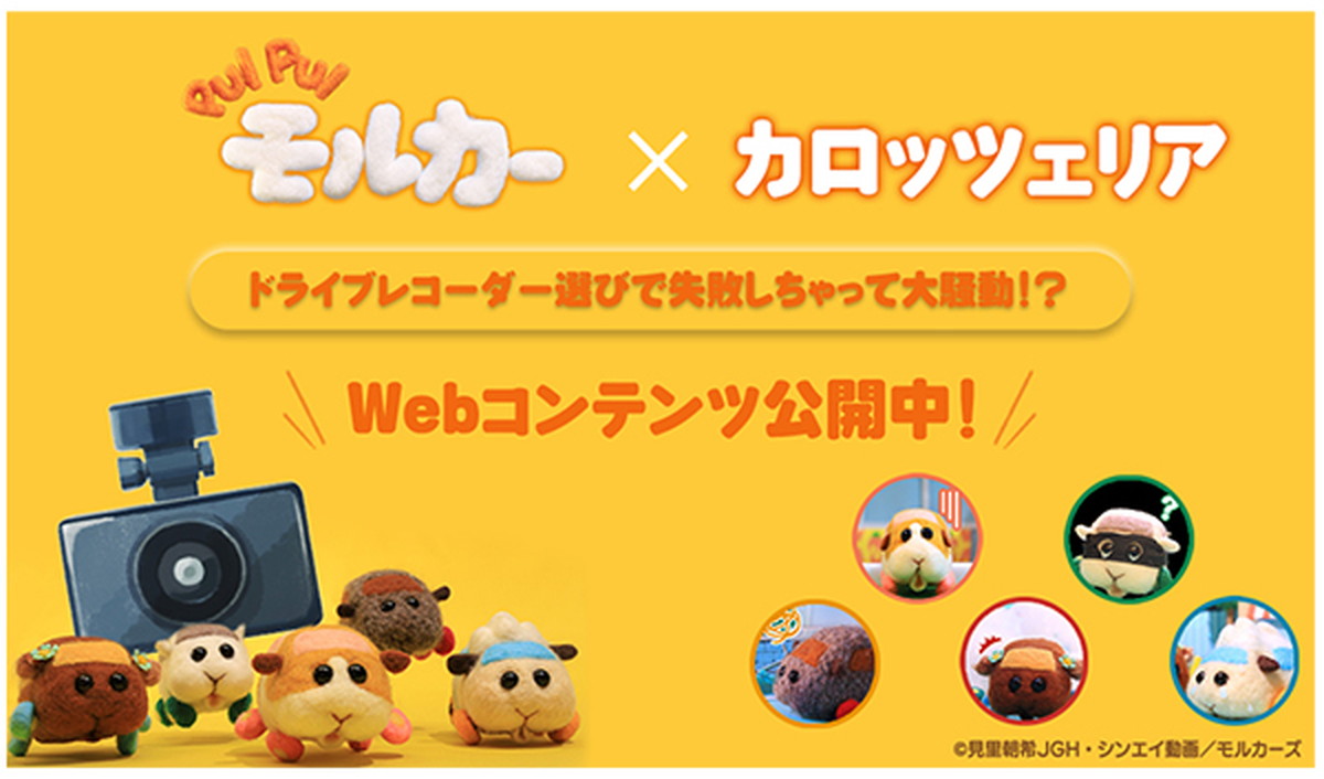 Pui Pui モルカー カロッツェリア とコラボ ドラレコの選び方 プイプイ教えちゃうよ ねとらぼ