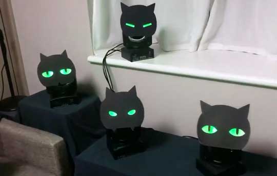 黒猫軍団 じーっ みんなで視線を合わせてくる 黒猫ライト が生きているようなかわいさ ねとらぼ