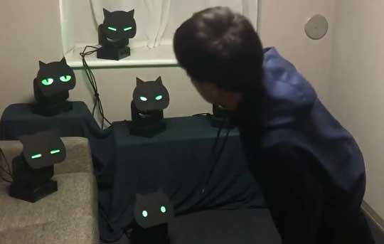 こっちを見てくる 黒猫ライト かわいい Ponboks ムービングライト Kinect