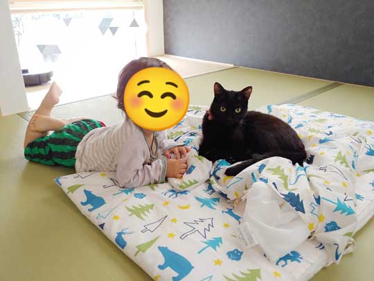 号泣する2歳児に黒猫が寄り添うと 子どもをあやしてくれる兄のような猫ちゃんにほっこり ねとらぼ