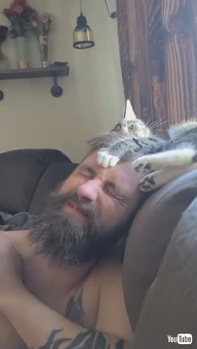 「Cat Accidentally Pokes Tiny Paw Into Owner's Eye While Cuddling With Him - 1199722」