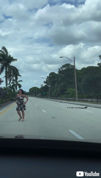 女性のサポートで道路を横断するカモの親子