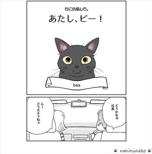 猫 かまって まわりくどいアピール で飼い主の注目を集めたい猫を描いた漫画が面白かわいい 2 2 ページ ねとらぼ