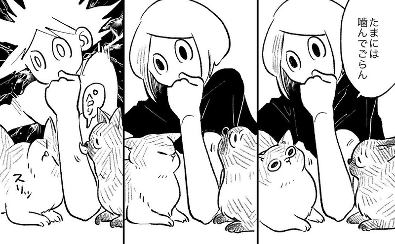 飼い主 たまにはかんでごらん 猫 ぺろり 猫にかまれてみたい飼い主の気持ちを描いた漫画がうらやましい ねとらぼ