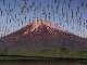 田んぼに映り込んだ「逆さ富士」の写真が魅力的な世界観　「バグったゲーム画面に見える」「マグリットの世界」