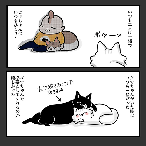 漫画 大好きな先住猫と別れ 孤独を感じる猫 仲間に入れてほしいニャ と頑張る姿が応援したくなる 1 2 ページ ねとらぼ